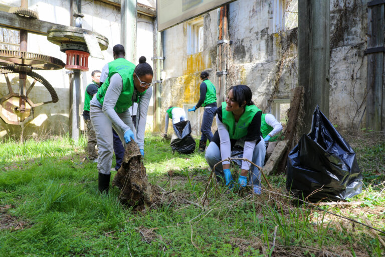 Seneca Park Cleanup