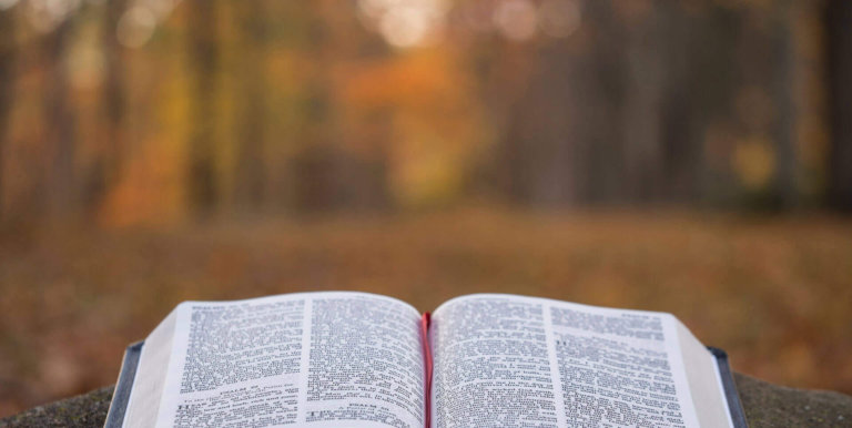 ahnsahnghong in the bible e1596943812956 768x386 1.jpg