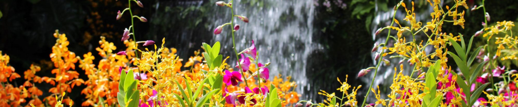 spirit and the bride